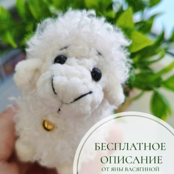 Овечки, козочки. Овечка